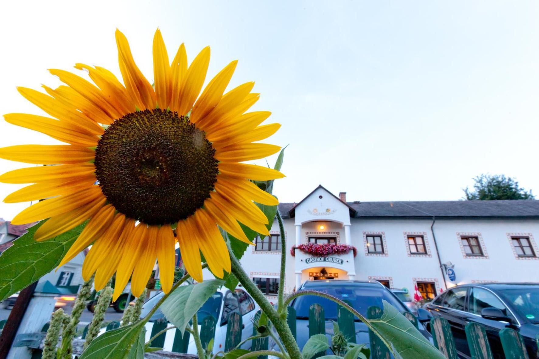Gasthof Siegfried Gruber Hartmannsdorf Esterno foto